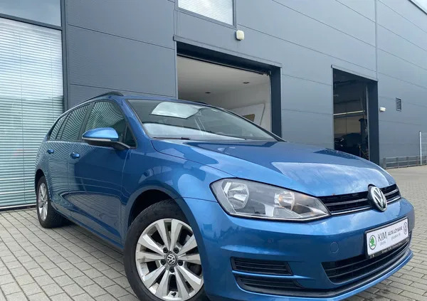 lubuskie Volkswagen Golf cena 39254 przebieg: 231194, rok produkcji 2015 z Żarów